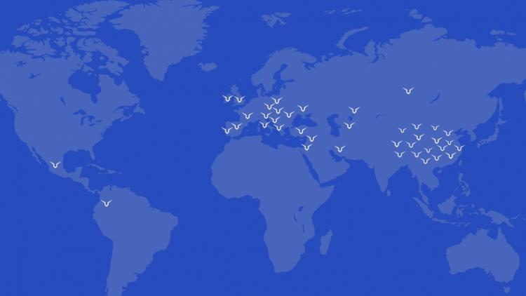 7940400Leader-Medica-worldwide.png